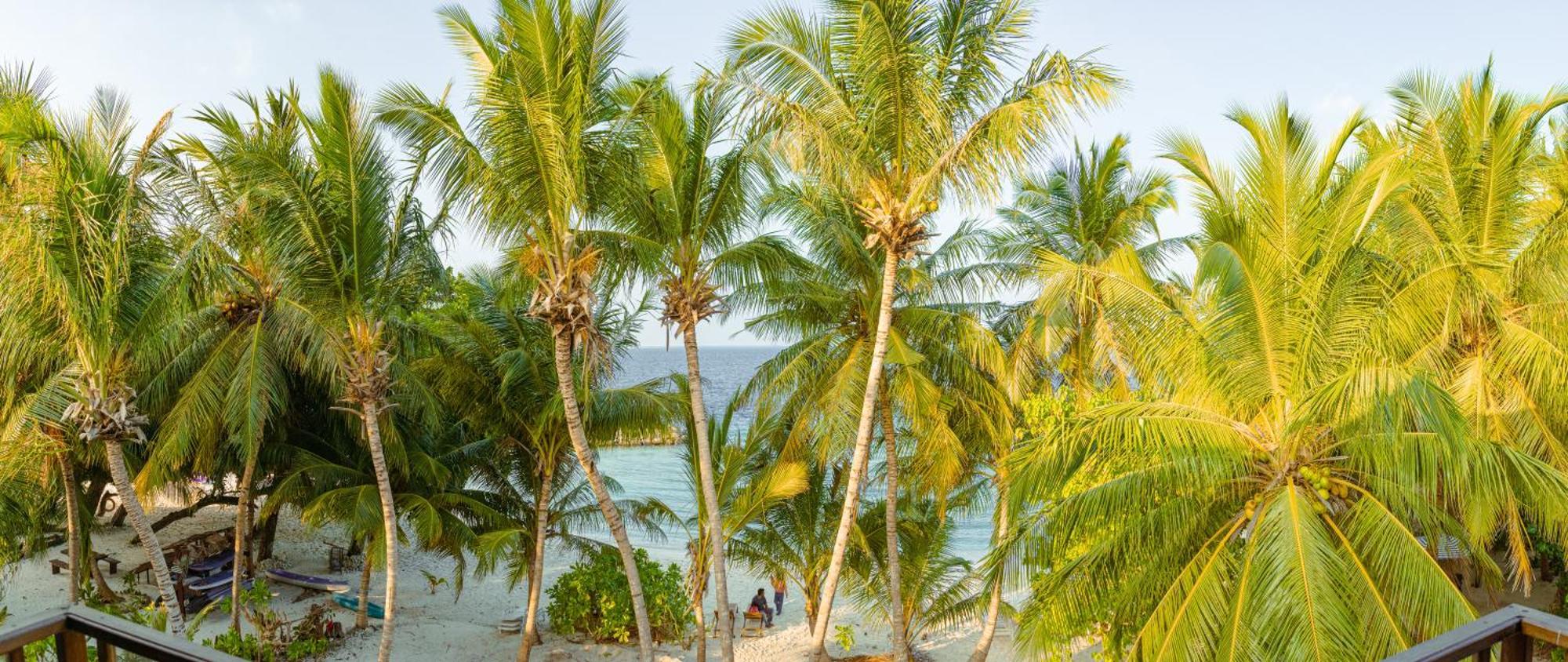 Chak'Z 1964 Beach Dharavandhoo Extérieur photo